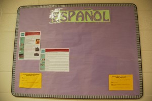 Every day of the year, in PHS' foreign language hallway, Spanish club leaders post information about studying abroad in Spanish speaking countries. "Why not [study abroad]?" Andrea Arroyo said, "It would be fun to learn something new, like Portuguese." Photo by: Alicia Sanchez