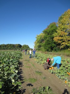 Families having Halloween fun at the pumpkin patch. Photo By: Taylor Drake